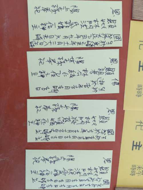 02 (264)