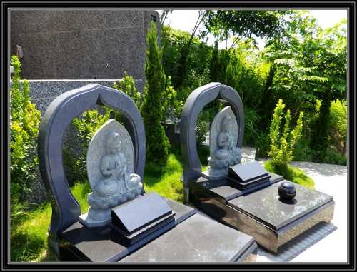 02 (729)