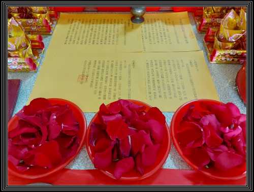 Batch 337973193 610058997289627 7920833202623627053 n