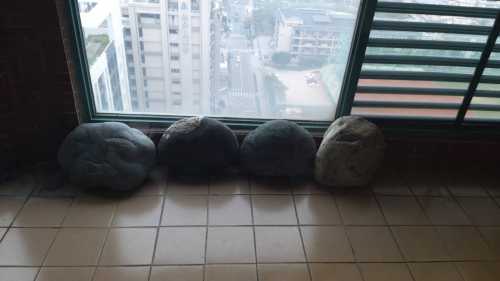 Batch 463727
