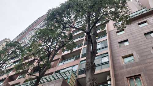 Batch 463776