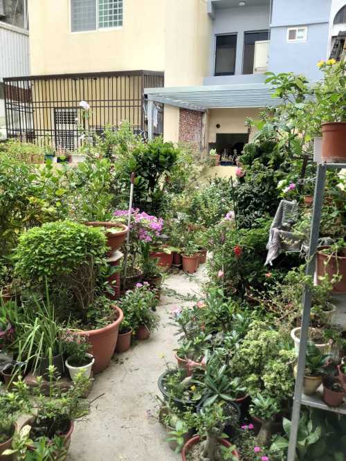 Batch 後花園